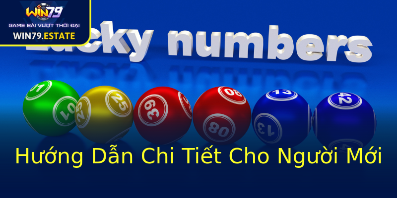 Hướng Dẫn Chi Tiết Cho Người Mới Hướng Dẫn Chi Tiết Cho Người Mới