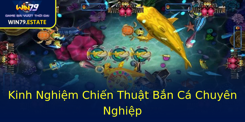 Kinh Nghiệm Chiến Thuật Bắn Cá Chuyên Nghiệp Kinh Nghiệm Chiến Thuật Bắn Cá Chuyên Nghiệp