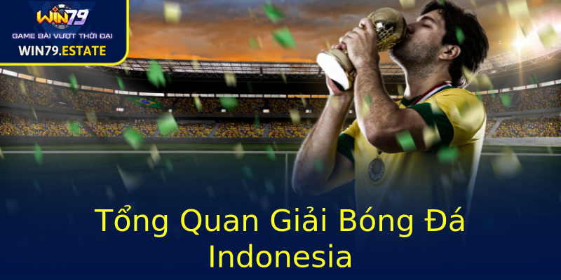 Tổng Quan Giải Bóng Đá Indonesia Tổng Quan Giải Bóng Đá Indonesia