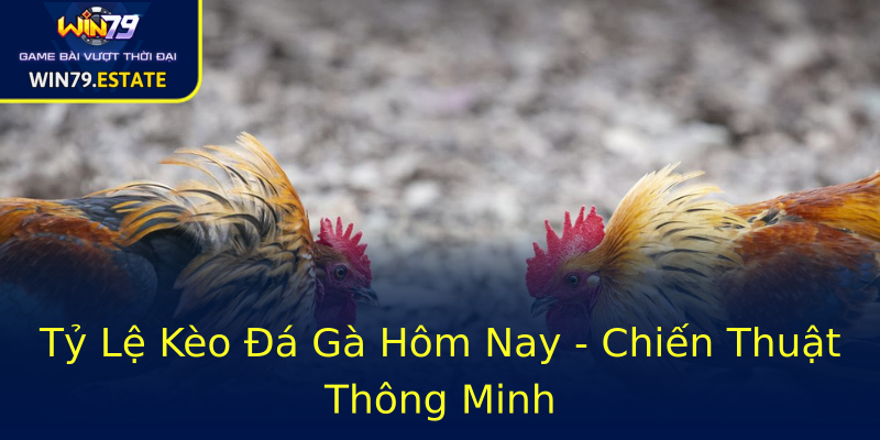 Tỷ Lệ Kèo Đá Gà Hôm Nay - Chiến Thuật Thông Minh Tỷ Lệ Kèo Đá Gà Hôm Nay - Chiến Thuật Thông Minh